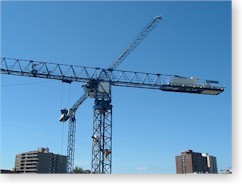 Grues Flattop